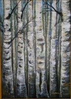 /album/azetterberg/bjorkglantan-2013-az-jpg/